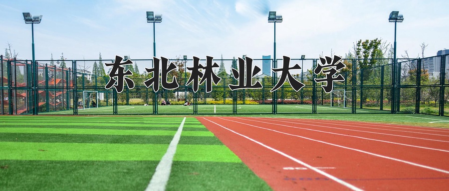东北林业大学研究生院