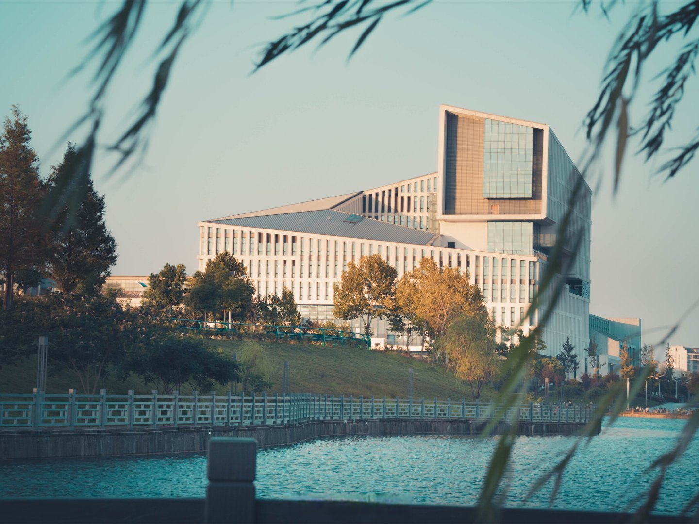 合肥工业大学管理学院