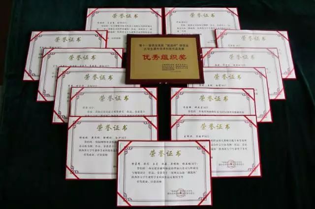 陕西师范大学毕业证什么颜色呢