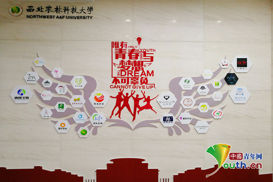 西北农林科技大学毕业证发放时间