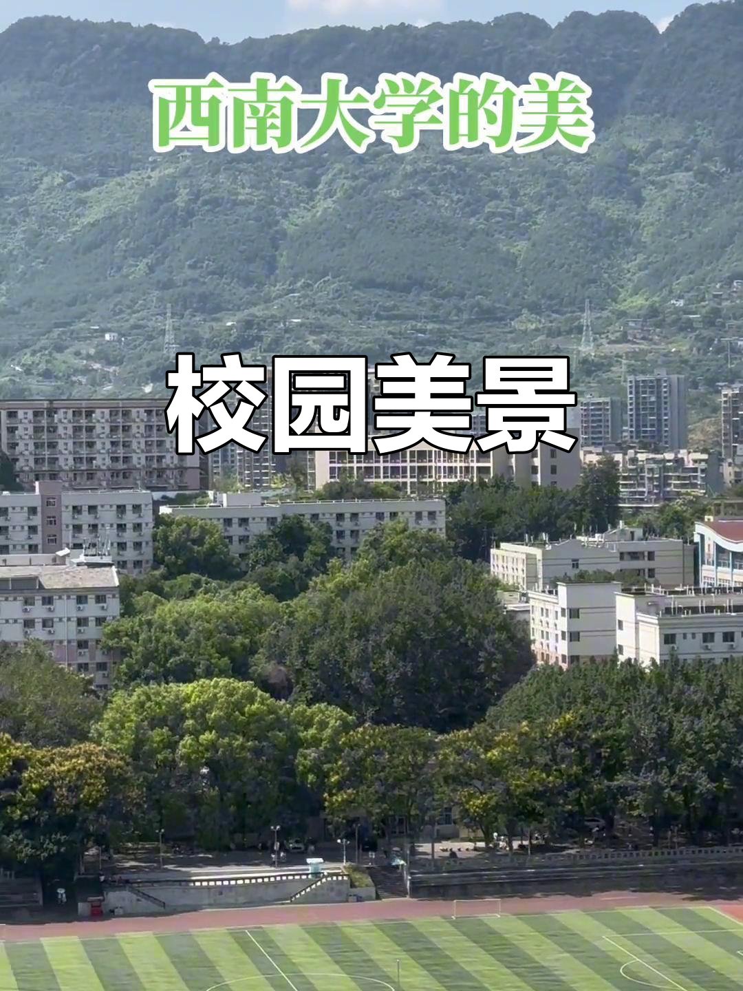 西南大学官网