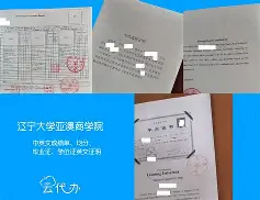 辽宁大学毕业证发放时间