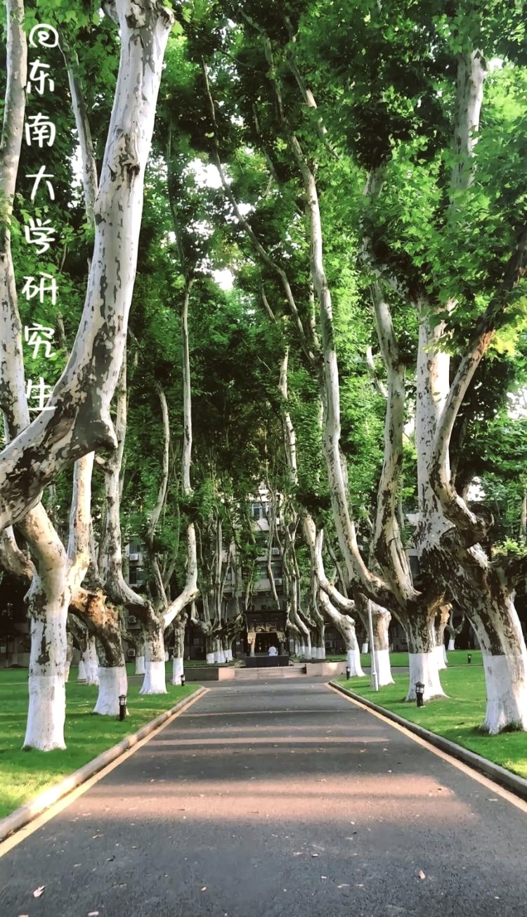 东南大学a类学科