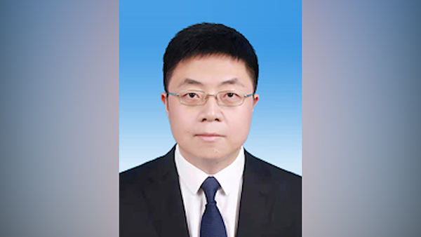 重庆大学什么学历